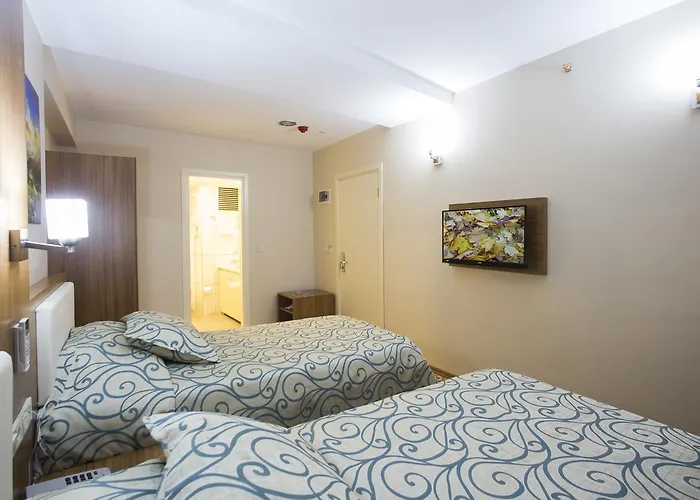 Hotel Seyhan Sarus Adana