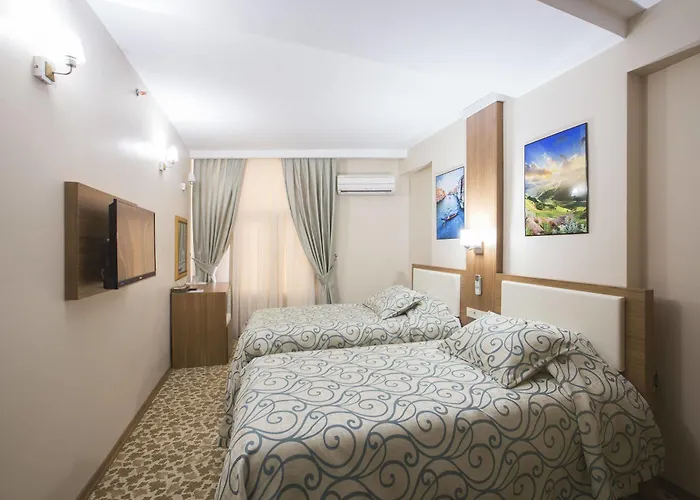 Hotel Seyhan Sarus Adana